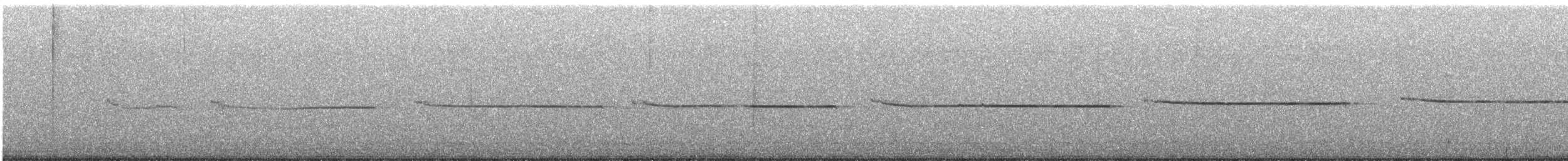 Широкохвістка бамбукова - ML646997924