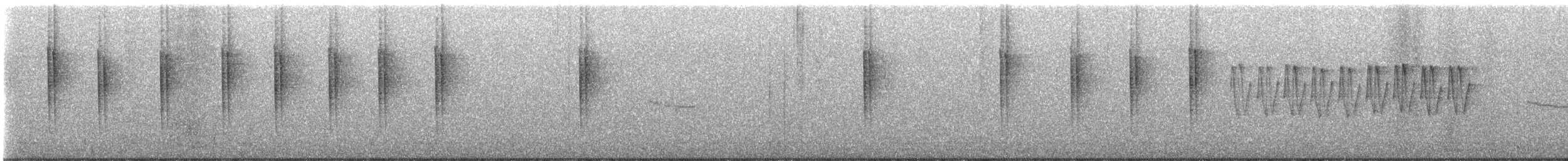 Широкохвістка бамбукова - ML646997925