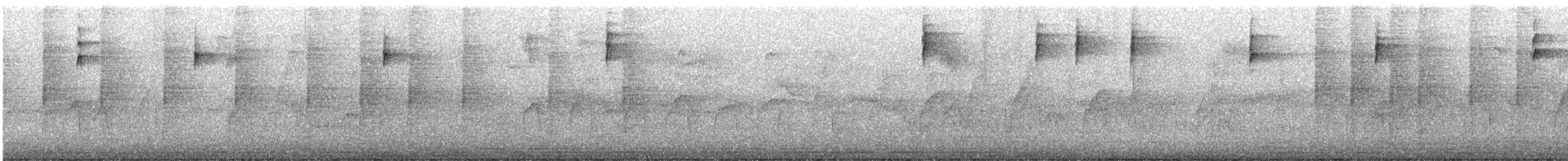 Вівсянка сиза - ML646997994