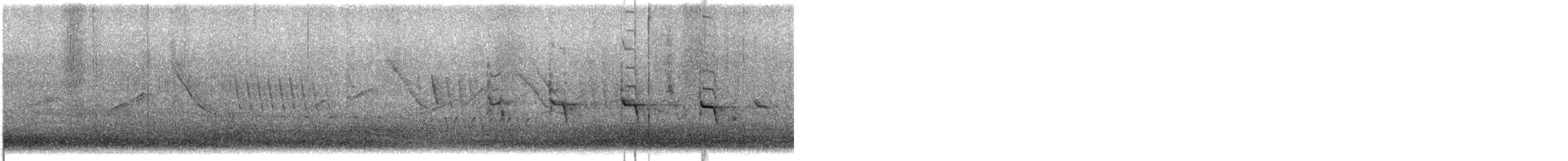 Southern House Wren - ML646998226