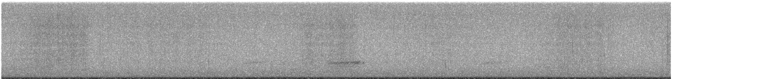 Küba Peçeli Baykuşu - ML646998751