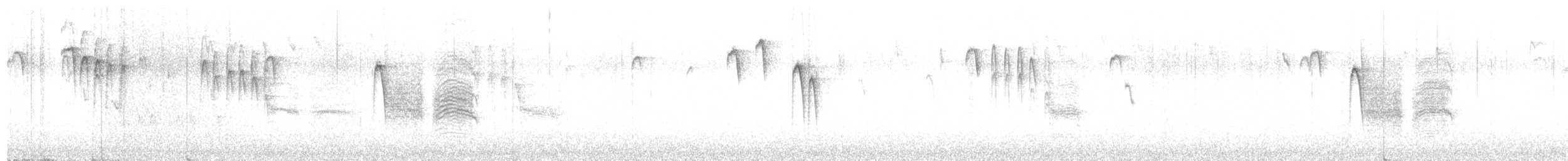 Mountain Chickadee (Rocky Mts.) - ML646998903