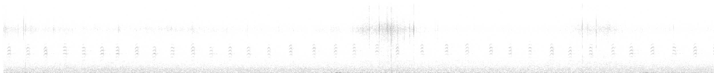 Garrapo kanadarra - ML646998912