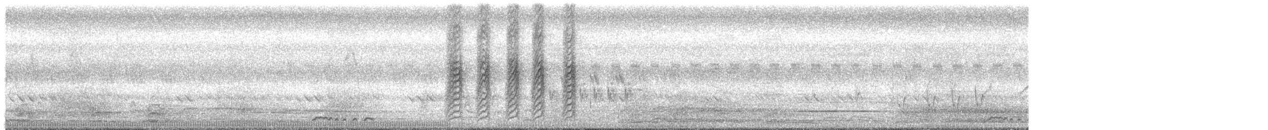 White-breasted Woodswallow - ML646998934