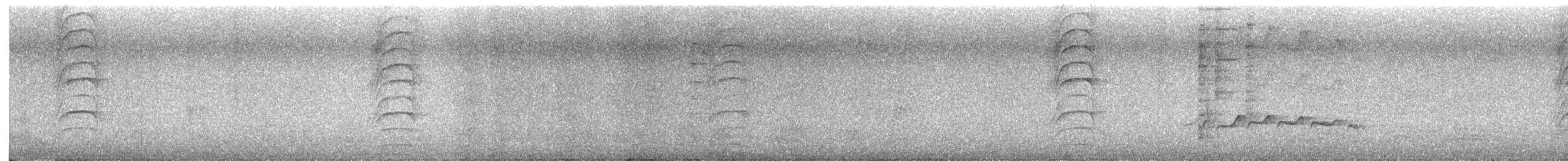 Bright-rumped Attila - ML646998966