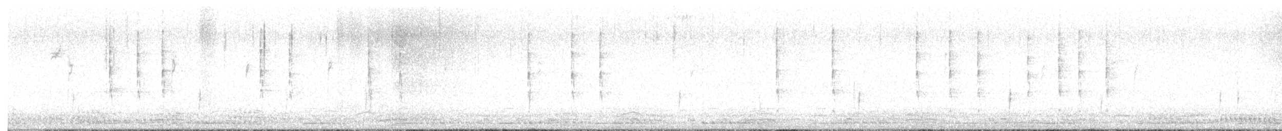 střízlík kanadský - ML646999197