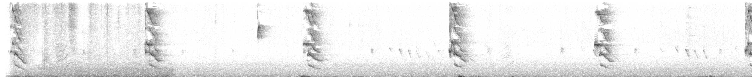 Декол золотистий (підвид auratus/luteus) - ML646999225