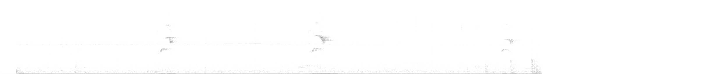 Bar-winged Prinia - ML646999499