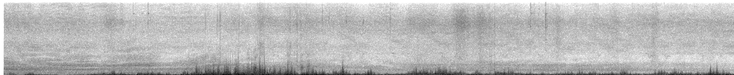 Black-billed Thrush - ML646999566