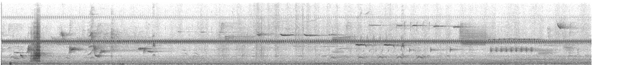 Koartza hauskara amerikarra - ML646999720