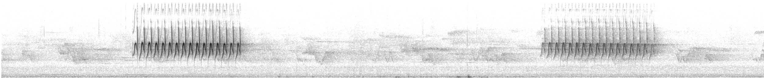 ユキヒメドリ（hyemalis／carolinensis） - ML647000236