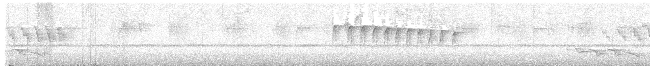 Kara Gagalı Koca Vireo - ML647000271