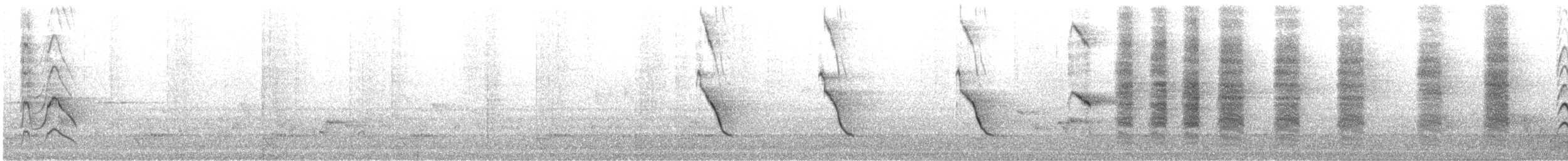 bird sp. - ML647000378