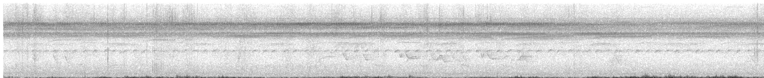 Colombe de Verreaux - ML647000404