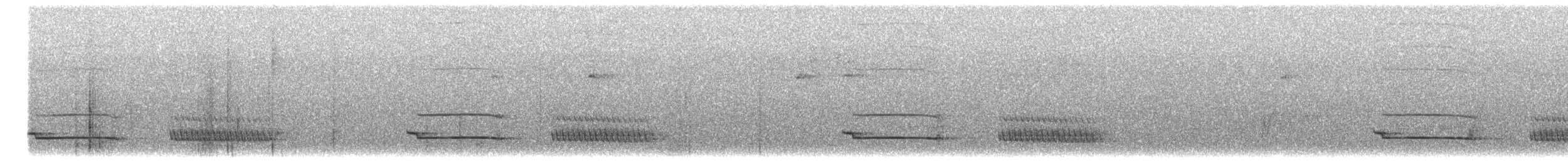 Muisca Antpitta - ML647000541