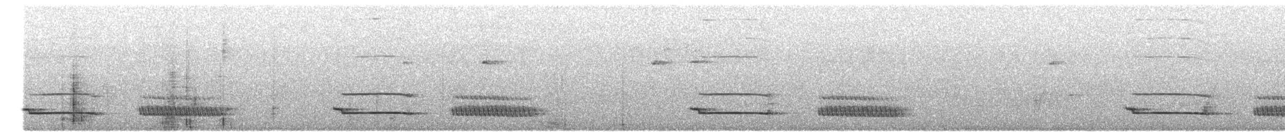 Muisca Antpitta - ML647000543