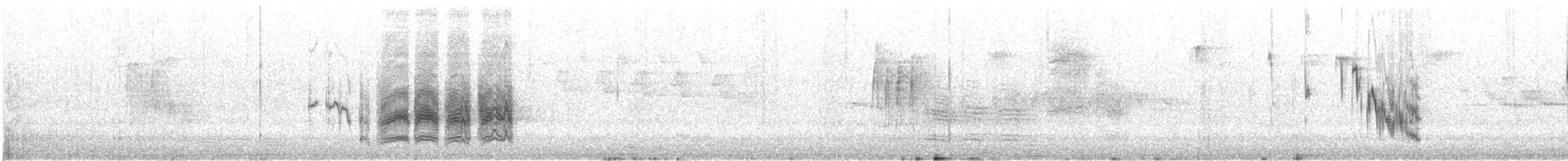 Mésange à tête noire - ML647000577