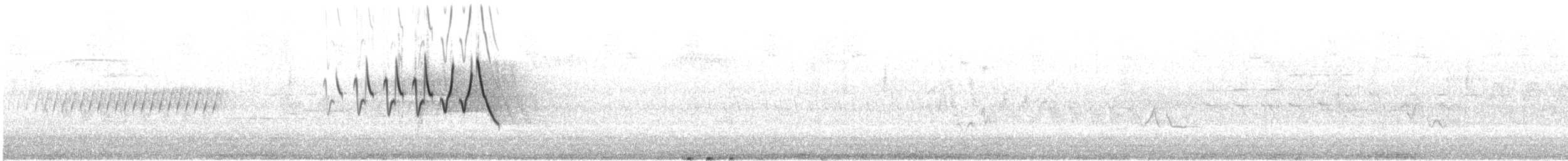 Chestnut-sided Warbler - ML647000600