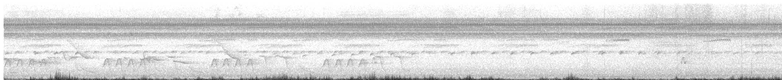 Troglodyte à moustaches - ML647000663