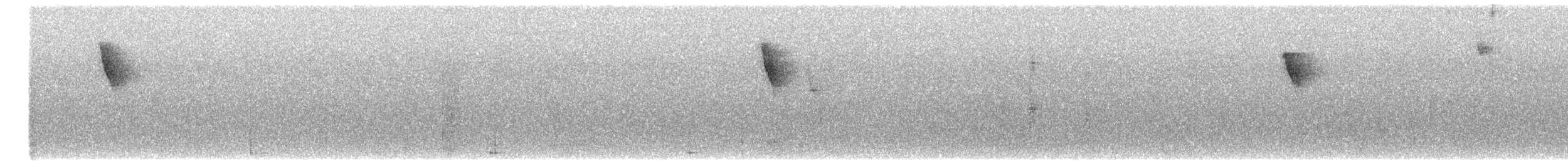 Rusty-winged Barbtail - ML647000746