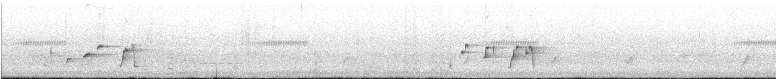 gallaviftestjert - ML647000767