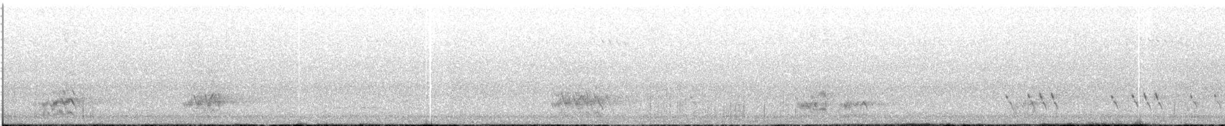 gulstrupeparakitt - ML647000791