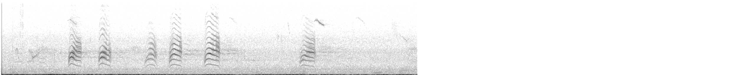 hvitbuksvalestær - ML647000861