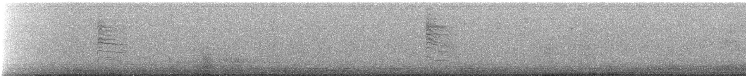 Blue-gray Gnatcatcher (Western) - ML647000869