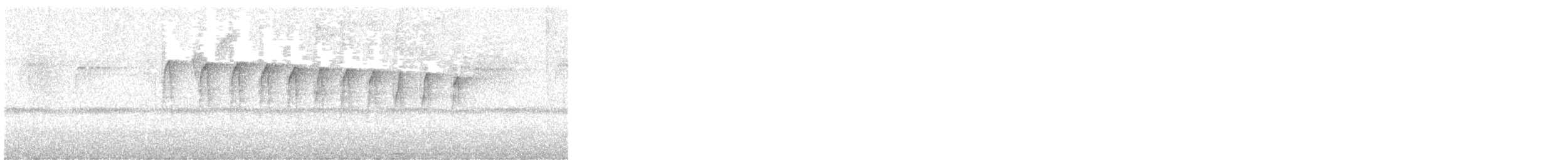 Çizgili Zenops - ML647000901