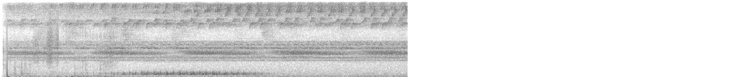 Band-bellied Owl - ML647000978