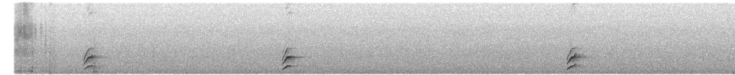 Long-tailed Tapaculo - ML647001171