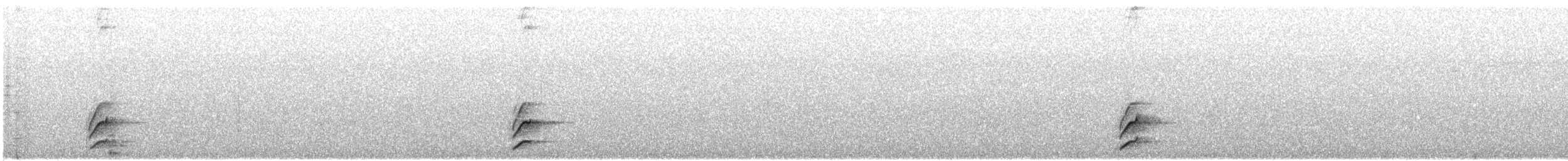 Long-tailed Tapaculo - ML647001172