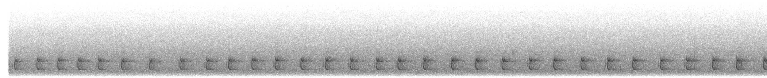 Long-tailed Tapaculo - ML647001345