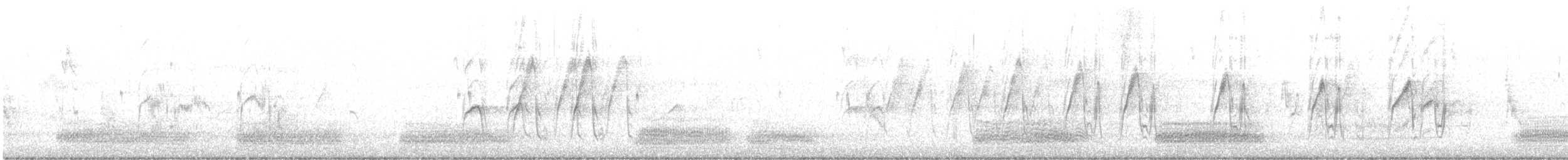 svartkråke - ML647001664