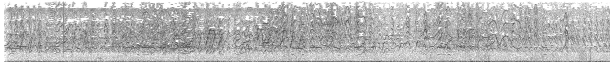 Rotschnabel-Pfeifgans - ML647001699