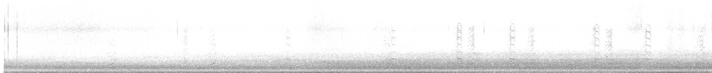 berneška malá - ML647002076