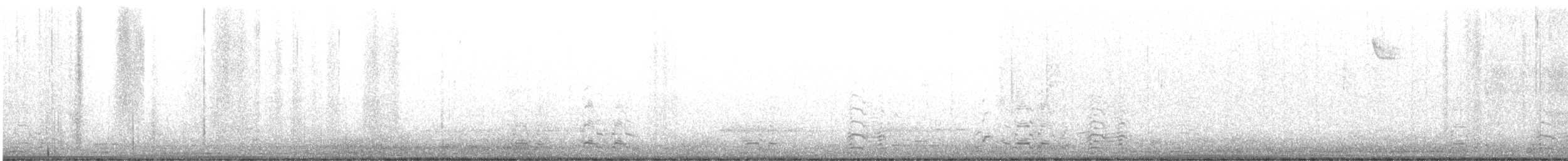 Greater White-fronted Goose - ML647002113