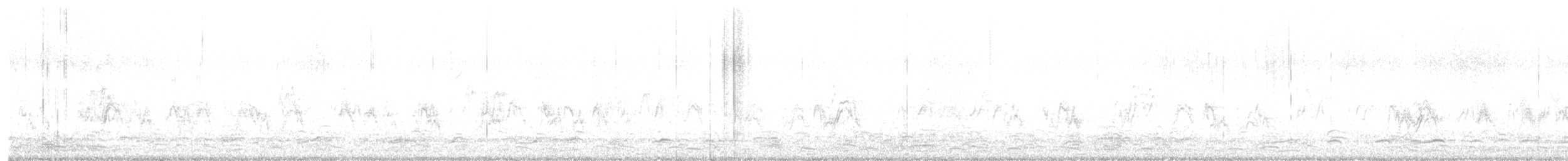 berneška malá - ML647002159