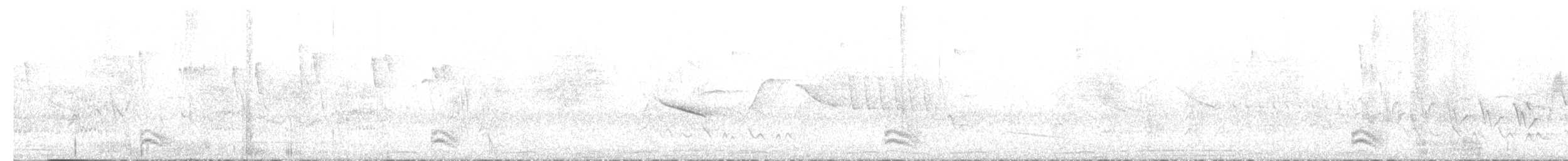 Bindenameisenwürger - ML647002274