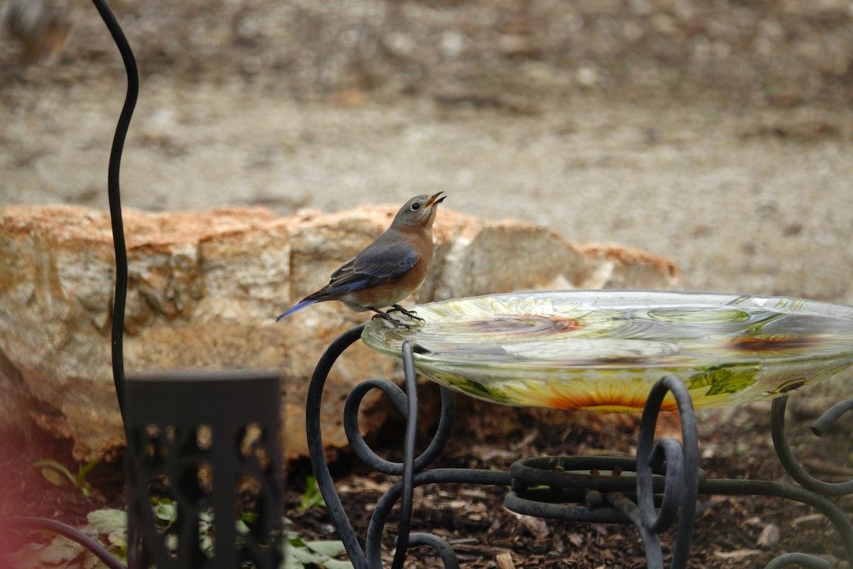 Azulejo Oriental - ML647002906