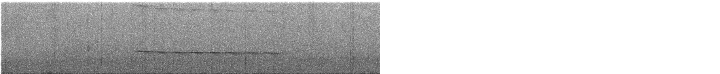 Slaty Antwren - ML647003336