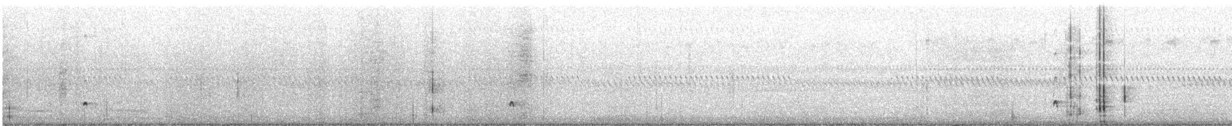 Ash-throated Flycatcher - ML647004988