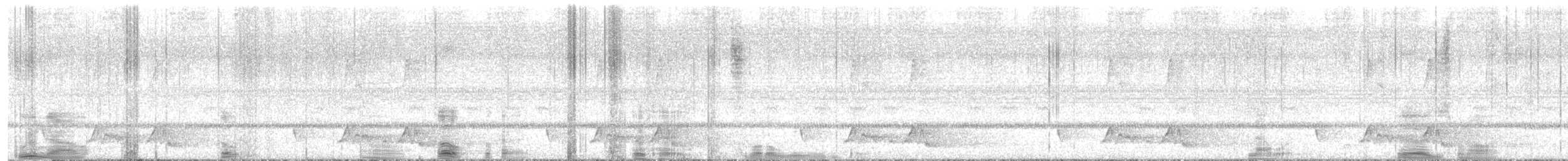 Chuck-will's-widow - ML647005616