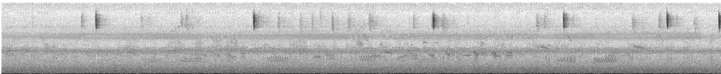 Zigolo mascherato - ML647005845