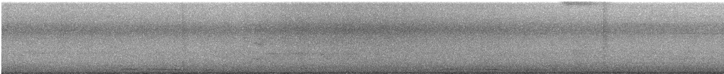 Spotted Dove - ML647006081