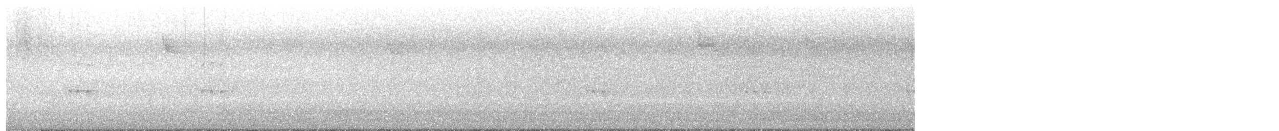 チャバラマユミソサザイ - ML647006326