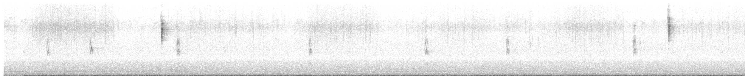 サメズアカアメリカムシクイ - ML647006341