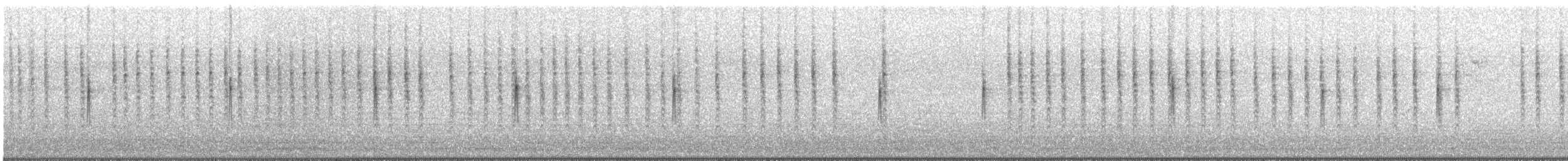 ルビーキクイタダキ - ML647006714