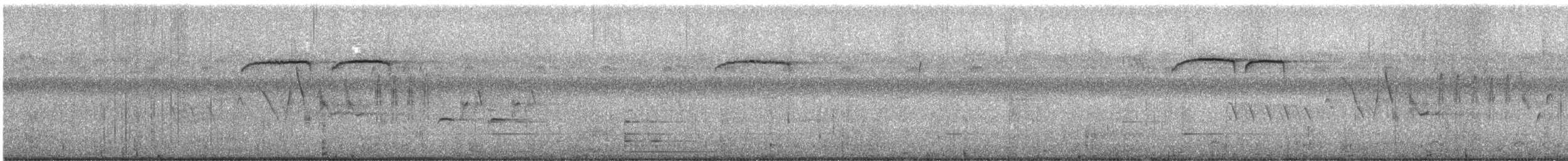 ヒメレンジャク - ML647006717