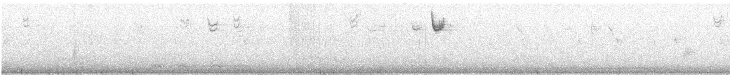 White-throated Sparrow - ML647006726